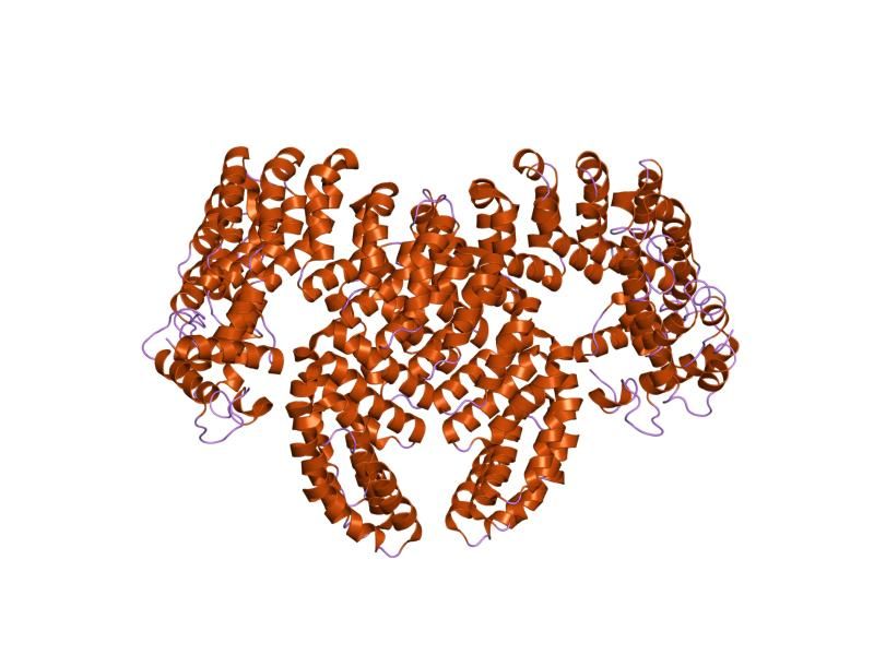 File:PDB 2pkg EBI.jpg