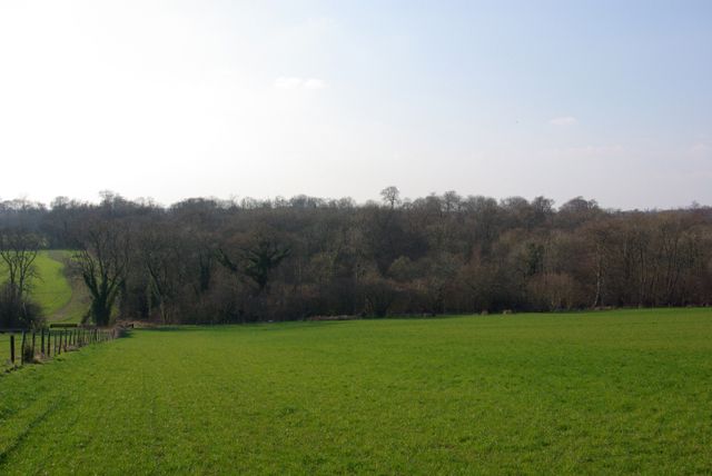 File:Pads Wood - geograph.org.uk - 383065.jpg