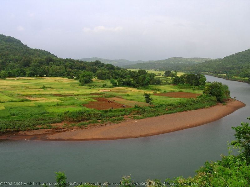 File:Rice-fields-river.jpg