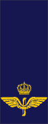 File:SWE-Airforce-0bar.png