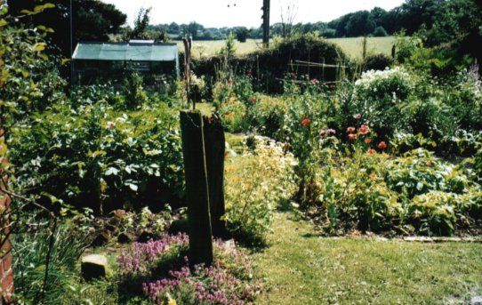 File:Veggarden.jpg