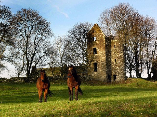 File:Carscreugh Castle - geograph.org.uk - 619349.jpg