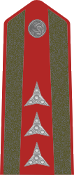 File:Czechoslovakia Gendarmerie OR-8 - Praporčík (1937-1939).png