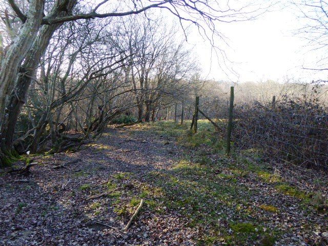 File:Heathfield Park SSSI (3).jpg