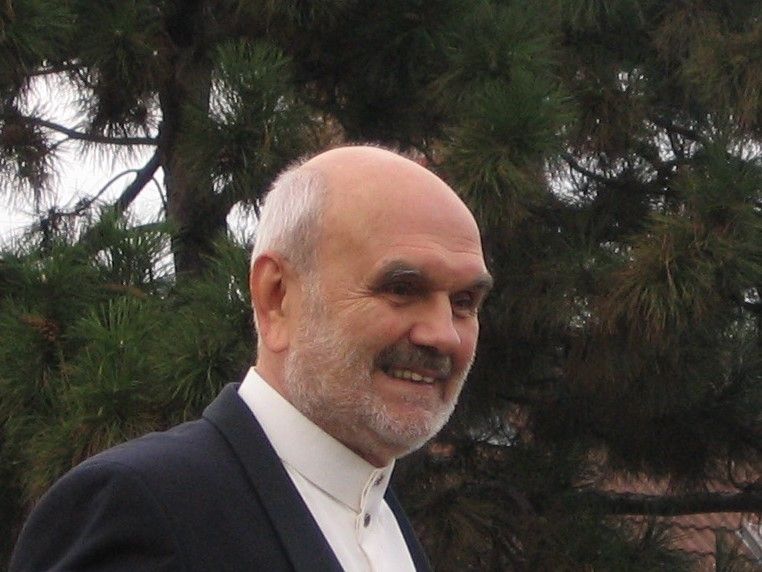 File:Josef Vejvoda 2017 02.jpg