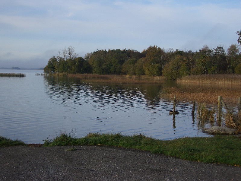 File:Lough ennell ireland.png