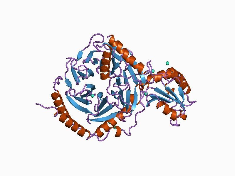 File:PDB 1b9x EBI.jpg