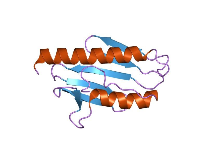 File:PDB 1ekg EBI.jpg