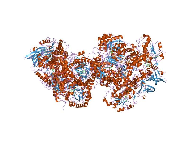 File:PDB 1h7w EBI.jpg