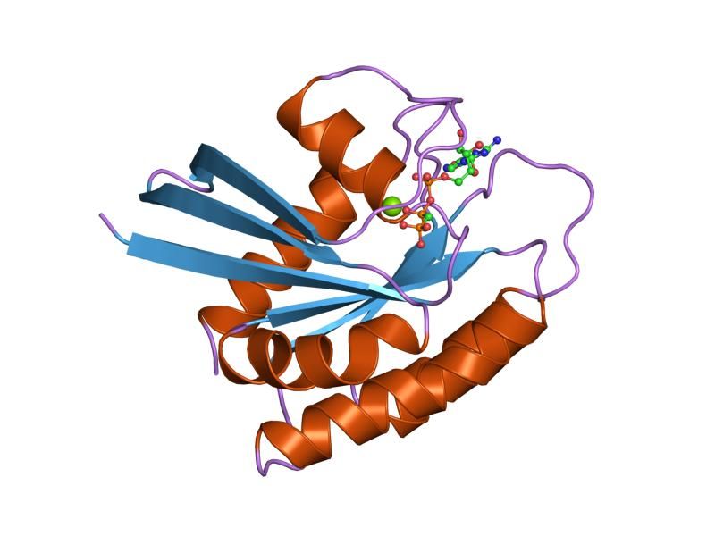 File:PDB 1jah EBI.jpg