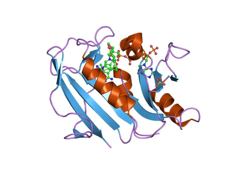 File:PDB 1kmv EBI.jpg