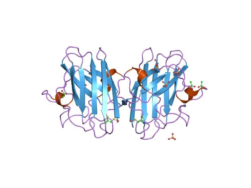 File:PDB 2c9s EBI.jpg