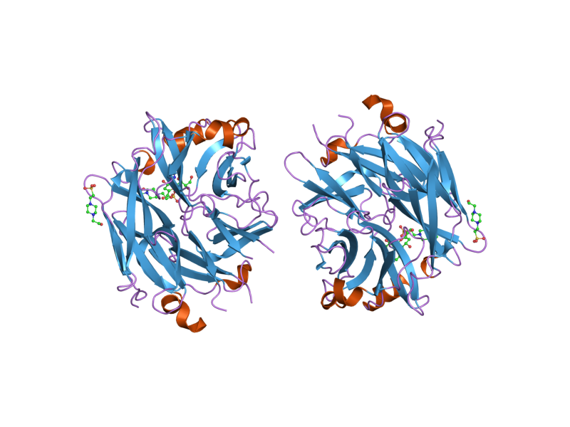 File:PDB 2f27 EBI.png