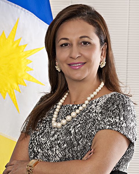 File:Senadora Kátia Abreu Oficial.jpg