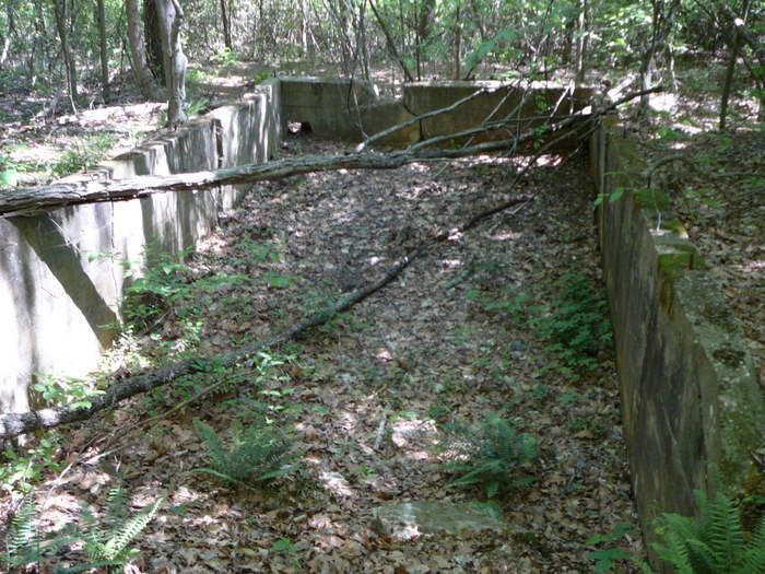 File:AACA concentrate bin ruins VA NPS.jpg