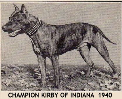 File:AKC CHAMPION KIRBY OF INDIANA 1940.jpg