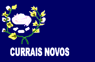 File:Bandeira curraisnovos rn.png