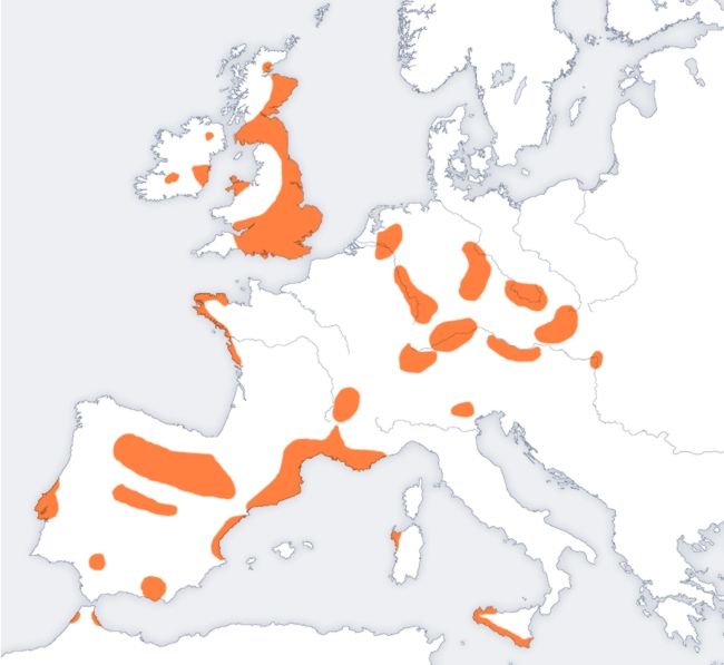 File:Bellbeaker map europe.jpg