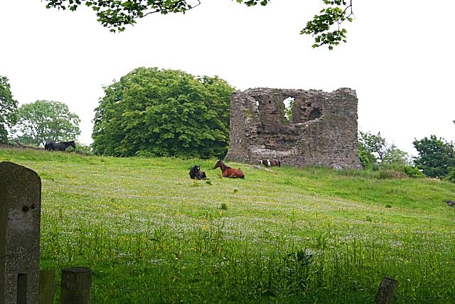 File:Castle Carra - geograph.org.uk - 467784.jpg