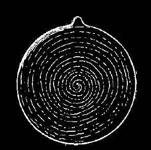 File:Gezerspiral.png