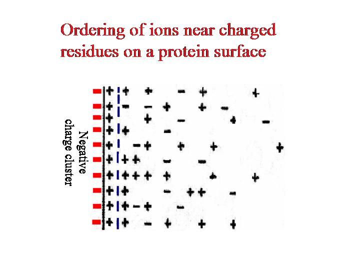 File:IonicSolvationLayerNew.jpg