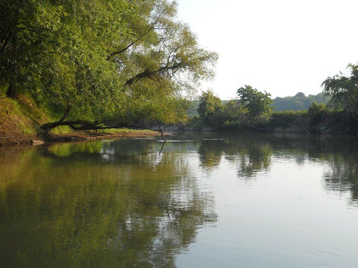 File:Obion River swimming hole.jpg