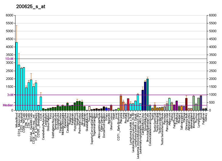 File:PBB GE CAP1 200625 s at fs.png