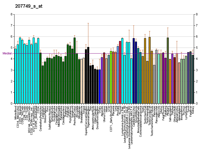 File:PBB GE PPP2R3A 207749 s at fs.png