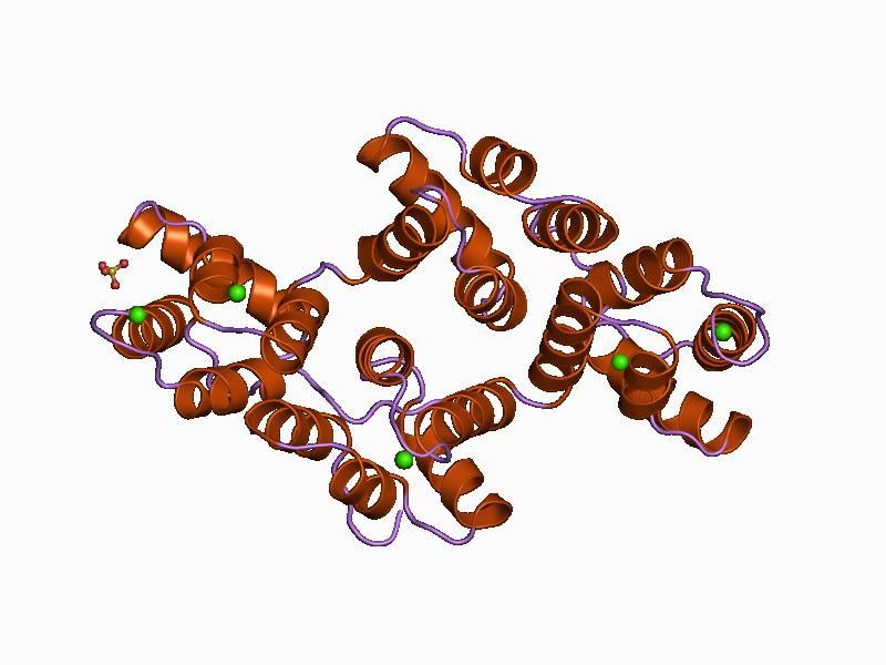 File:PDB 1bcz EBI.jpg