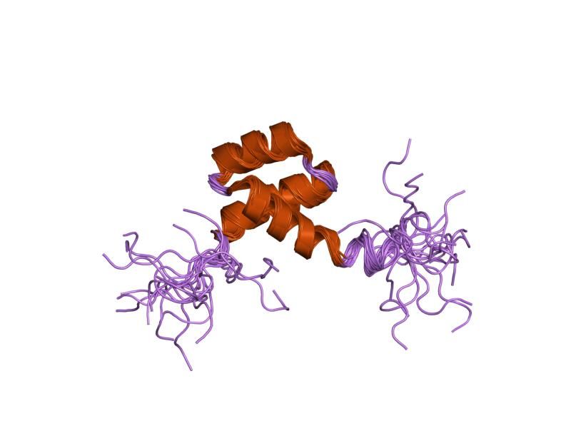 File:PDB 1hom EBI.jpg