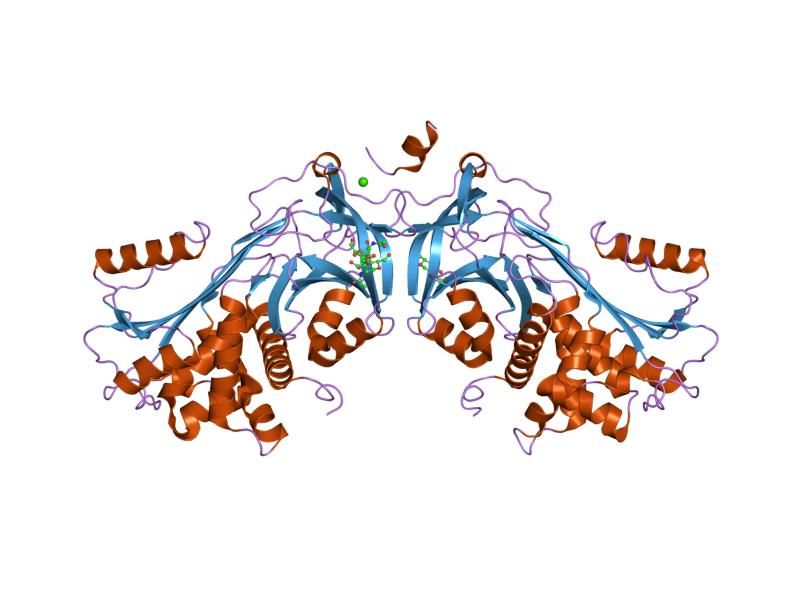 File:PDB 1jmj EBI.jpg