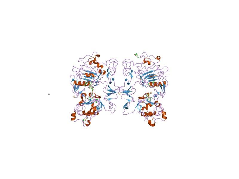 File:PDB 1mox EBI.jpg