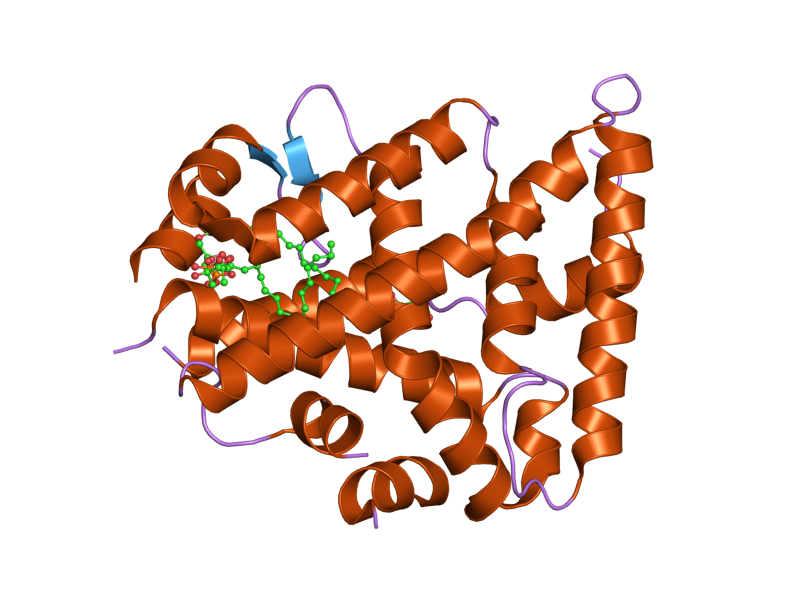 File:PDB 1zdu EBI.png