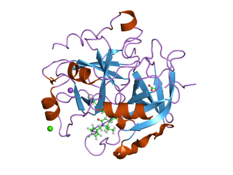 File:PDB 2cf8 EBI.png