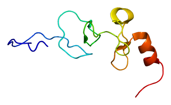 File:Protein PDLIM1 PDB 1x62.png