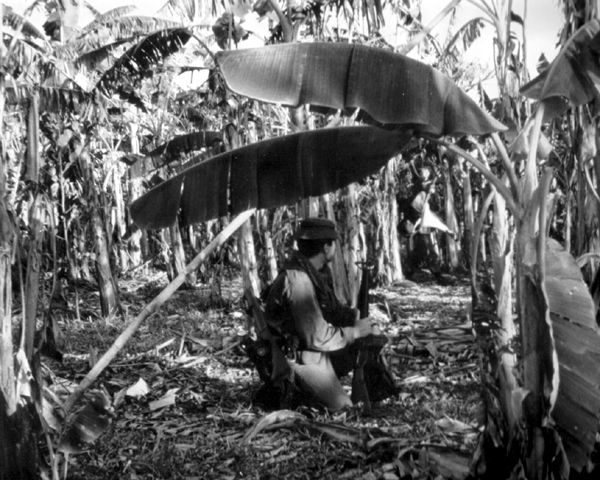 File:Royal Australian Regiment on sweep in Vietnam.jpg