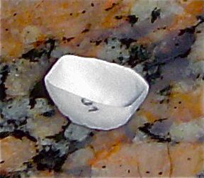 File:Split Bupropion XL shell Anchen.jpg