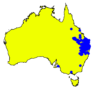 File:Angophora leiocarpa DistMap.png