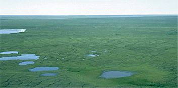 File:Anwr.jpg