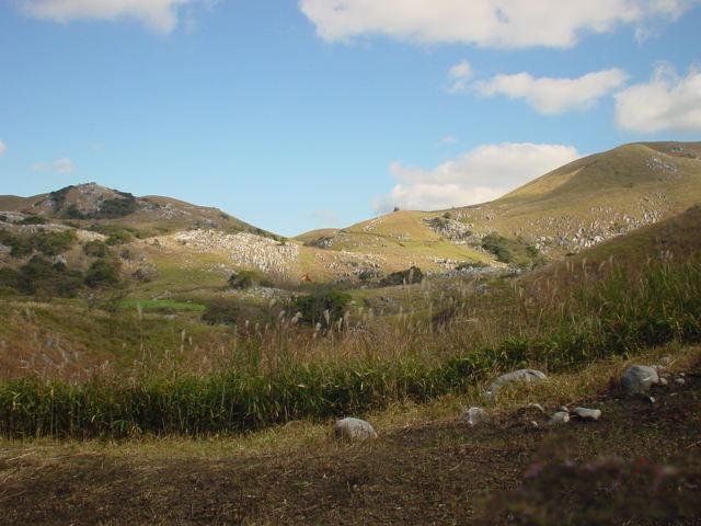 File:Hiraodai karst plateau.jpg