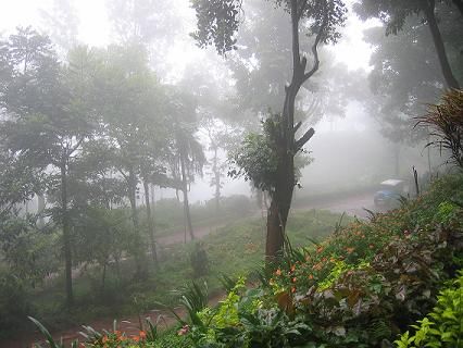 File:Kemmangundi fog.JPG