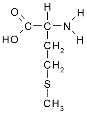 File:L-Methionine.png