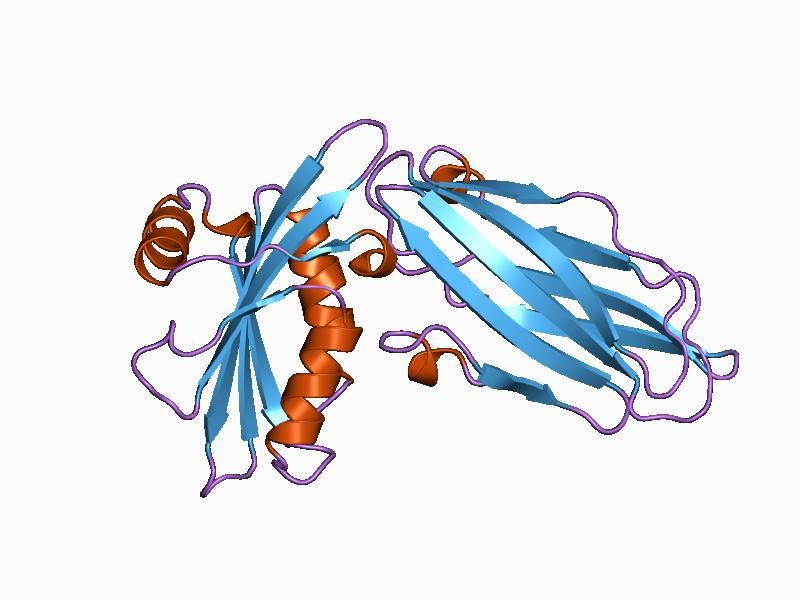 File:PDB 1b9k EBI.jpg