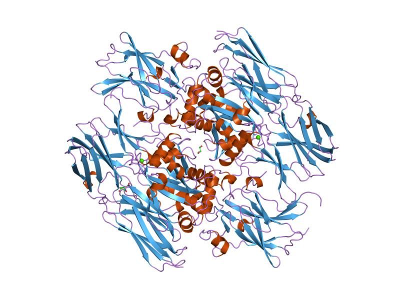 File:PDB 1evu EBI.jpg