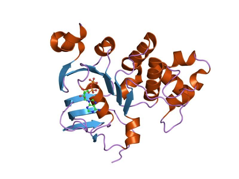 File:PDB 1jj7 EBI.jpg