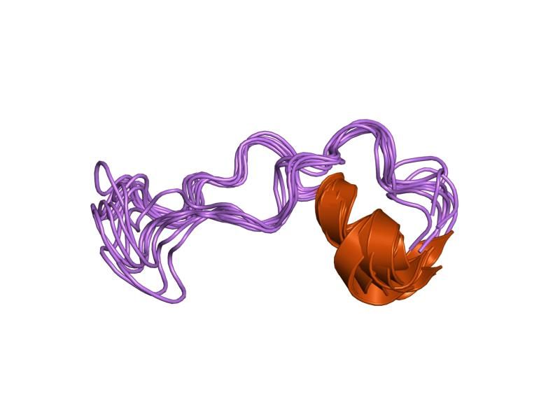 File:PDB 1pxq EBI.jpg