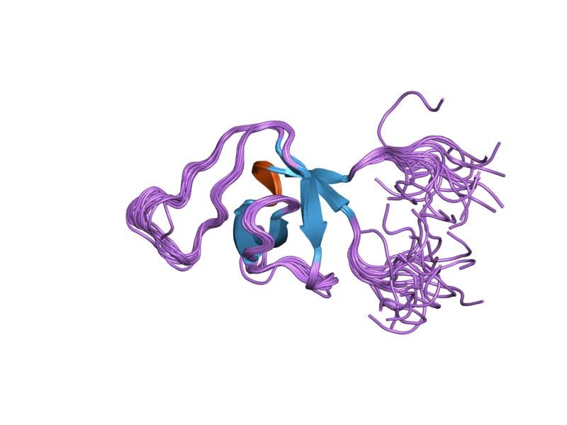 File:PDB 1spk EBI.jpg