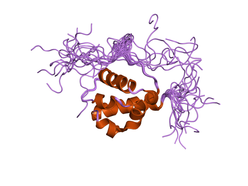 File:PDB 1x66 EBI.png