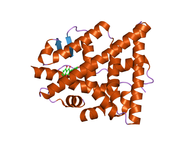 File:PDB 1x7r EBI.png