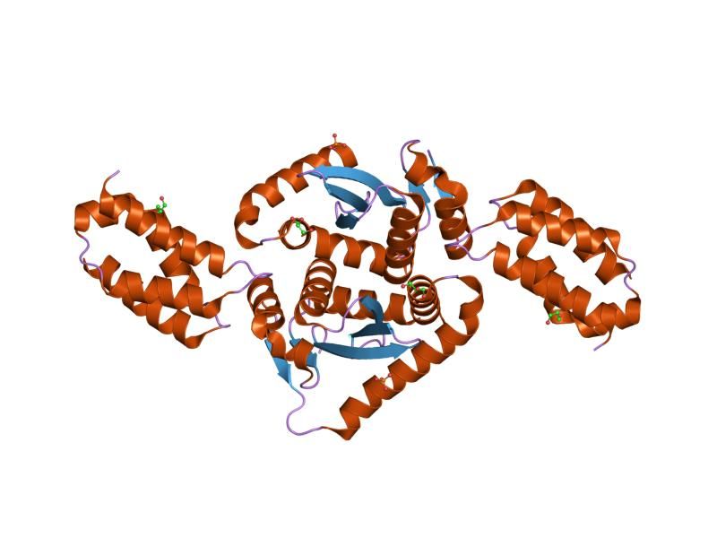 File:PDB 2b4j EBI.jpg